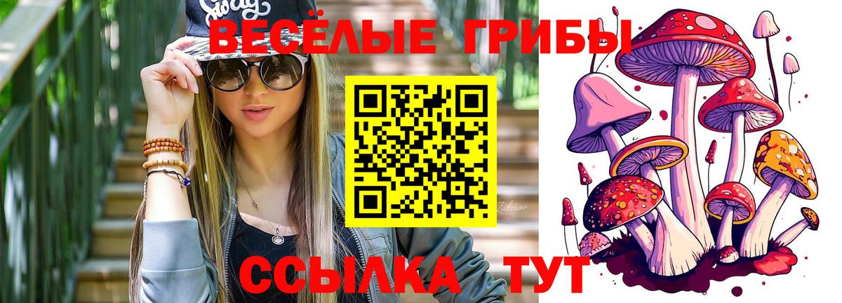 Галлюциногенные грибы GOLDEN TEACHER Верхняя Салда